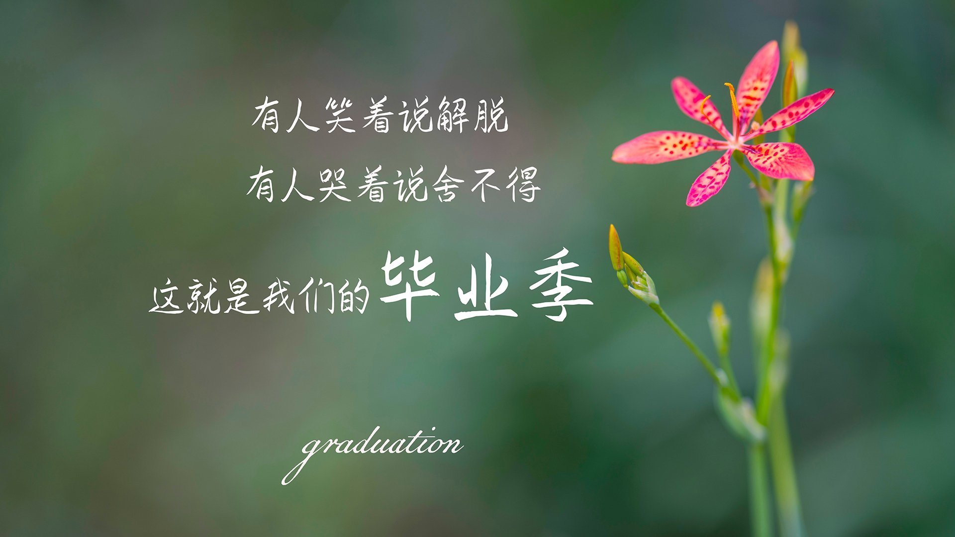EDG选手转会市场动态，edg2021转会
