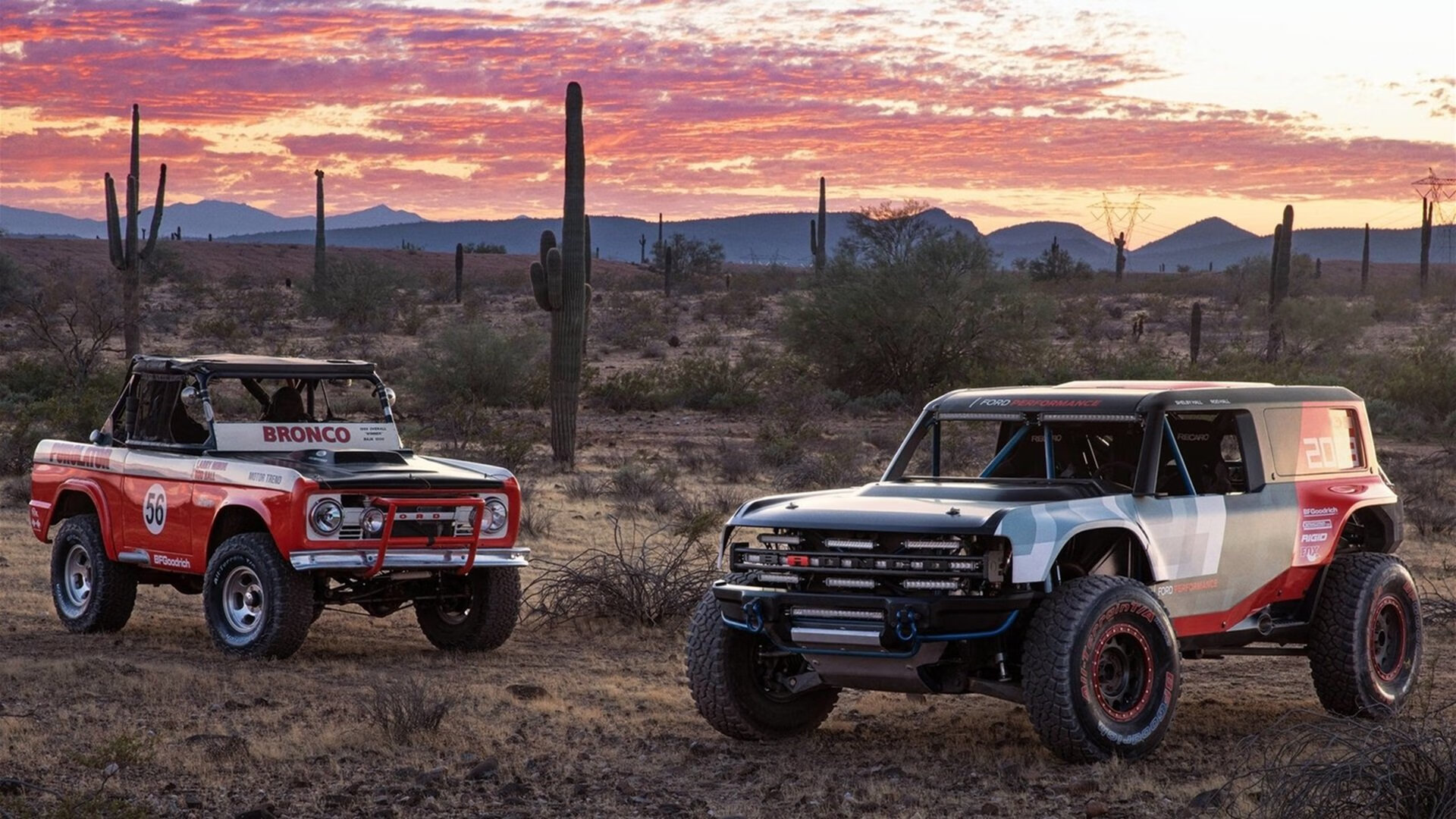 中美蝶泳划水周期趋于高效稳定,蝶泳划频