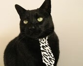 体测数据管理系统推动校园体育数字化，体测数据平台