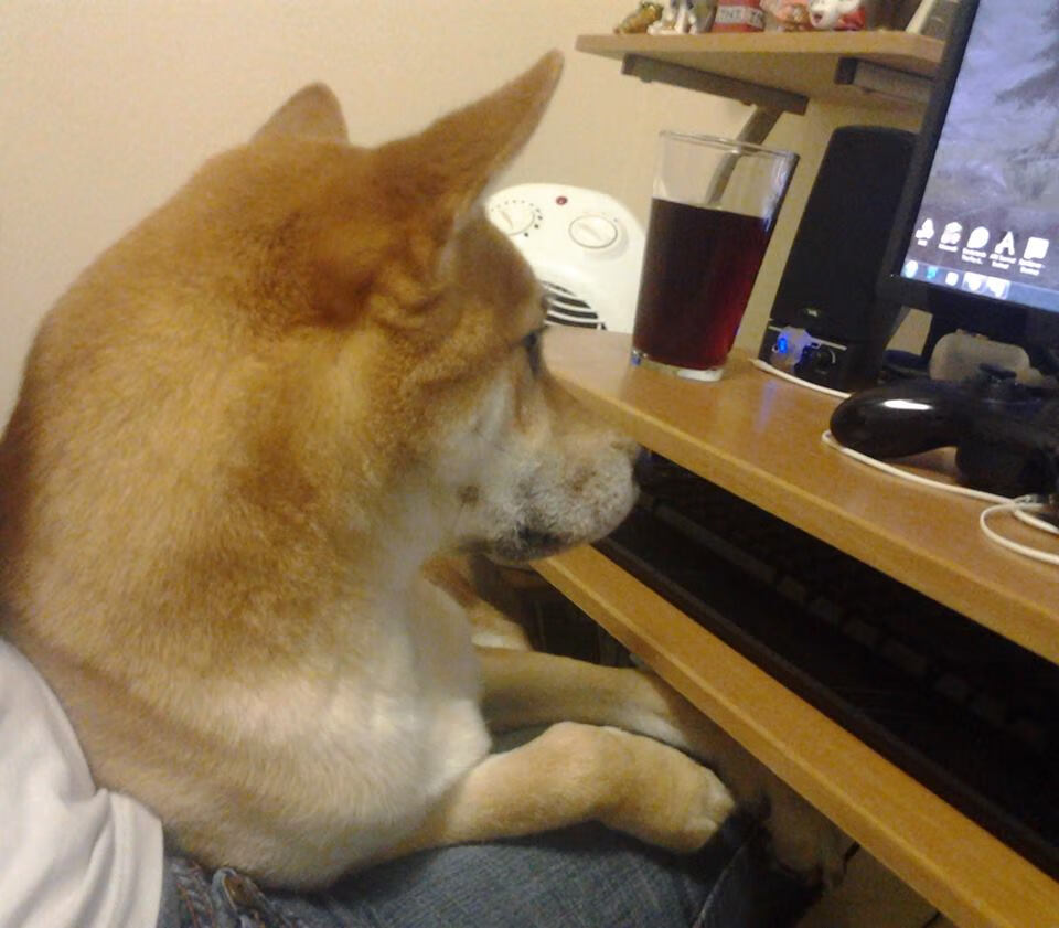 国际热身赛中国青年队晋级 球迷热情高涨，国家队热身赛有出场费吗