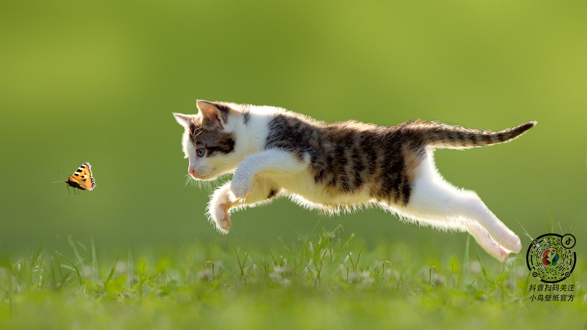 女子百米大战 美国新星跑出世界第一成绩，美国女子百米运动员