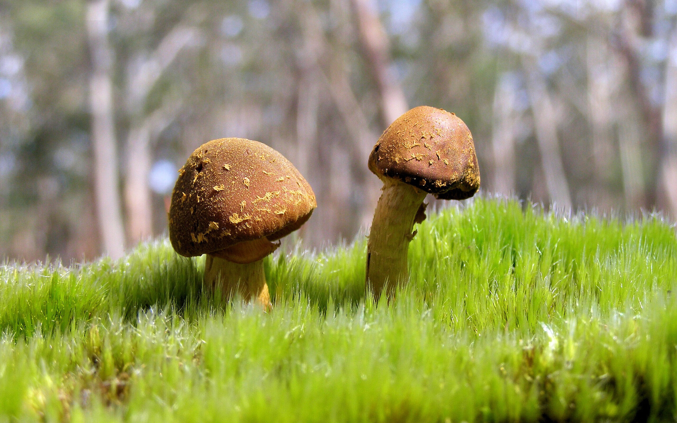 爱游戏体育app-替补席能量爆棚的经典案例，替补席小礼品