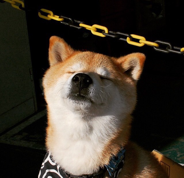 爱游戏体育APP下载-精彩绝杀致敬竞技之魂，竞技系列