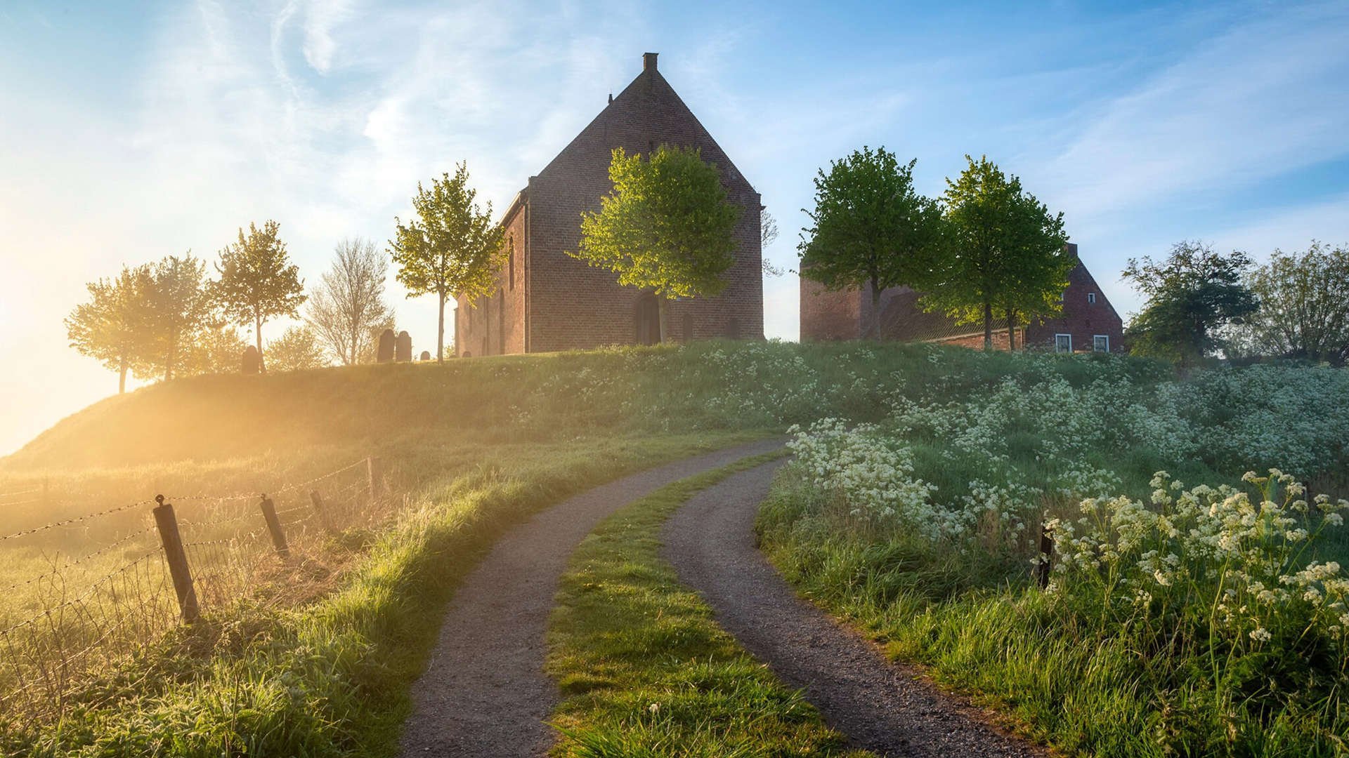 自由泳个人赛波兰新星崭露头角，波浪式自由泳